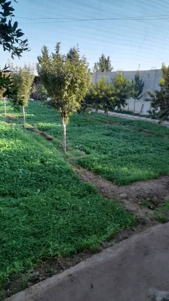 للبيع الاضطراري بسبب حالة مرضية